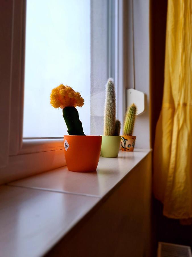 Cozy Apartment Arad Luaran gambar